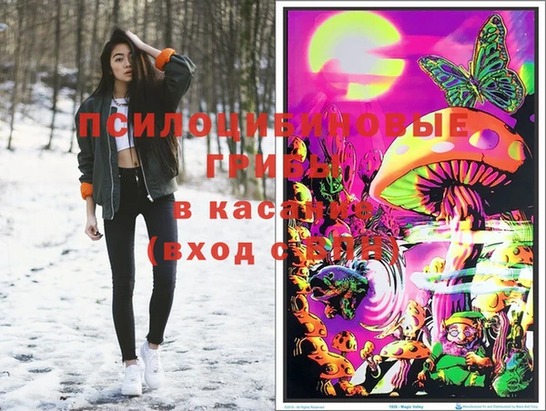 молекула духа Алексеевка