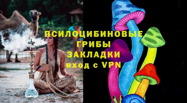 дмт Алзамай