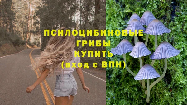 молекула духа Алексеевка