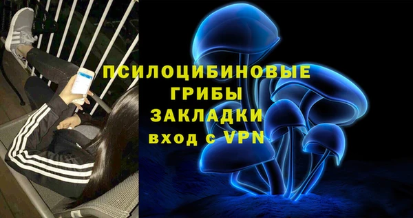 дмт Алзамай
