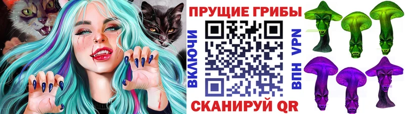 как найти закладки  гидра зеркало  Галлюциногенные грибы Psilocybe  Тимашёвск 