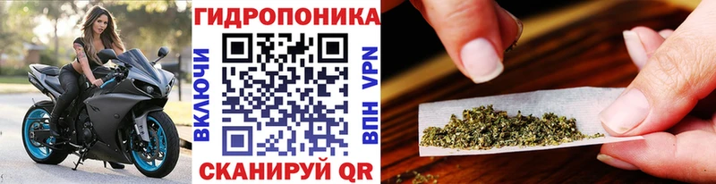 как найти закладки  Тимашёвск  Канабис план 